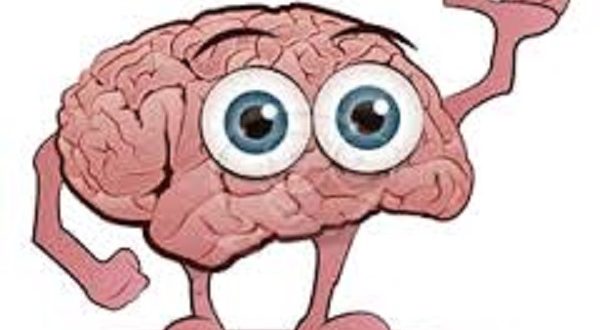 Ten fascinating facts about the human brain