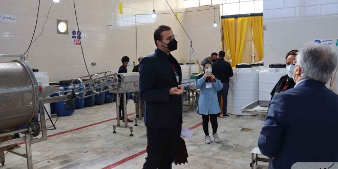 مشاوره کسب و کار در شیراز با بهبود و عارضه یابی